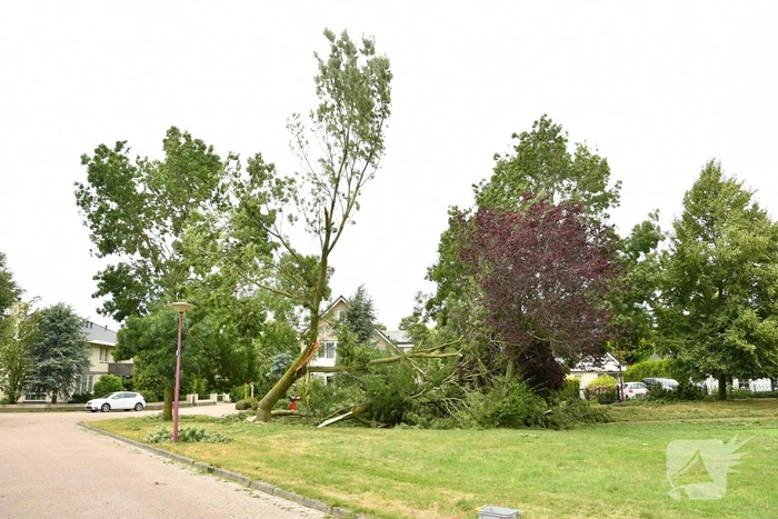 Brandweer zaagt boom om na storm Poly