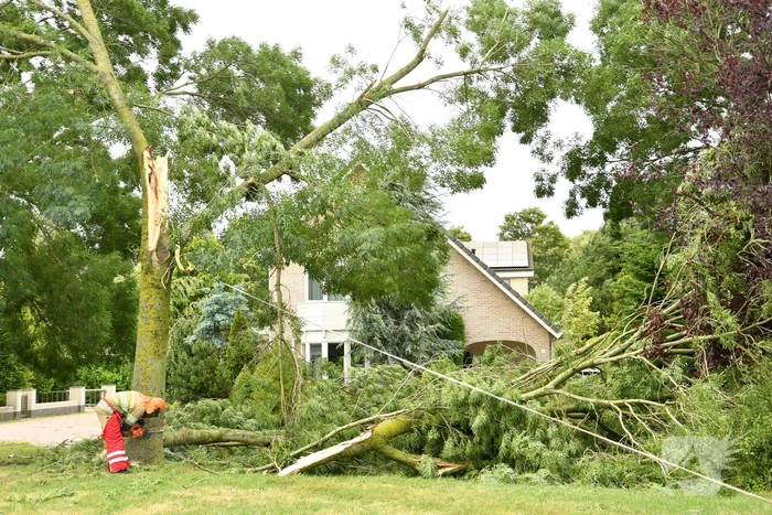 Brandweer zaagt boom om na storm Poly