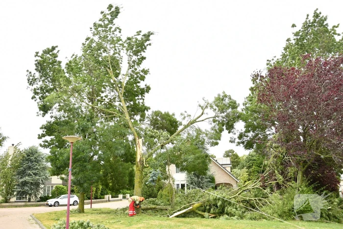 Brandweer zaagt boom om na storm Poly