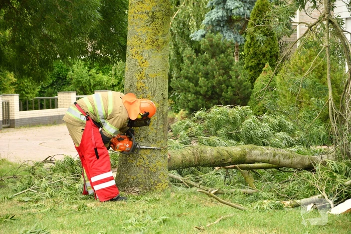 Brandweer zaagt boom om na storm Poly