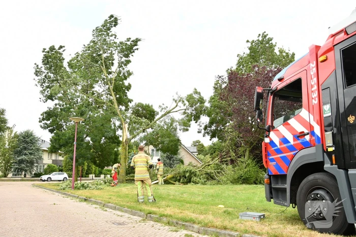 Brandweer zaagt boom om na storm Poly