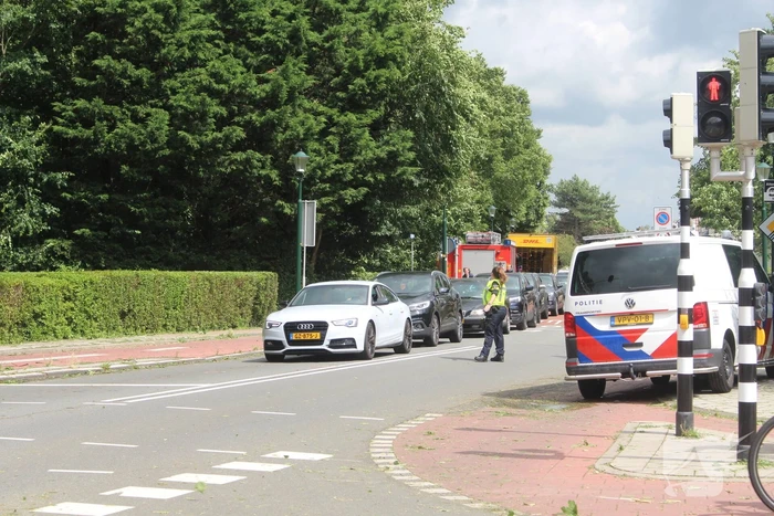 Brandweer ingezet voor afgebroken takken