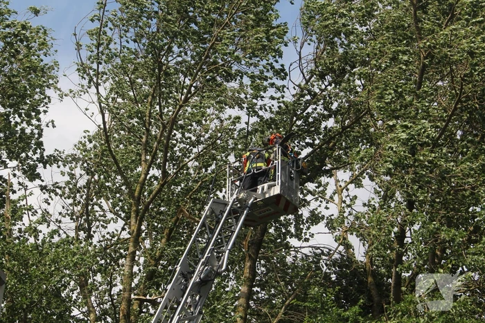 Brandweer verwijdert gevaarlijk hangende takken