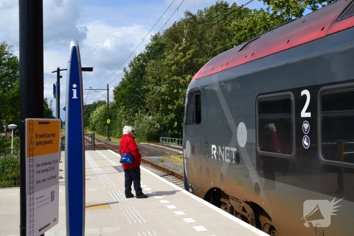 Geen treinverkeer door omgevallen boom op spoor