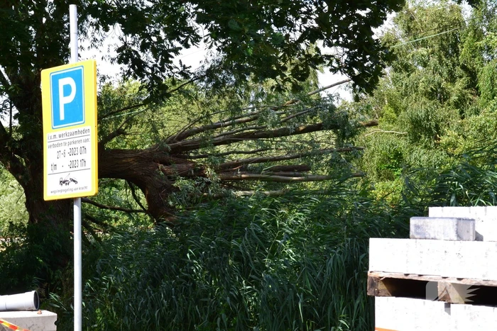 Geen treinverkeer door omgevallen boom op spoor