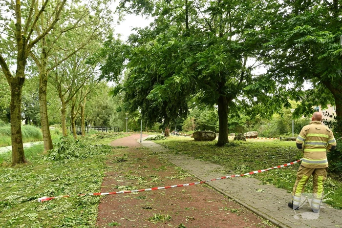 Straat afgezet door vallende takken
