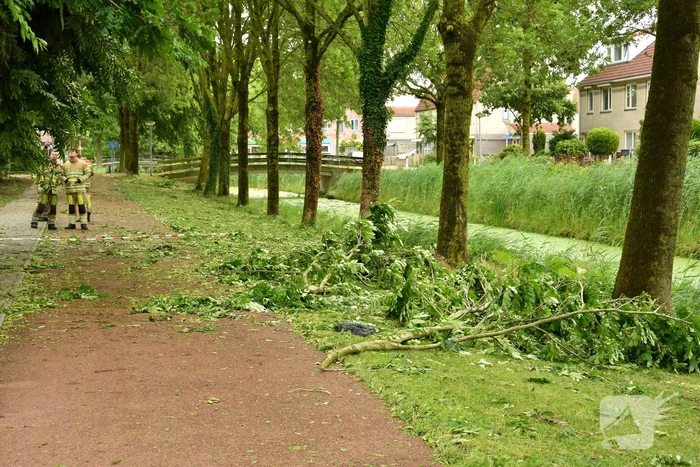 Straat afgezet door vallende takken