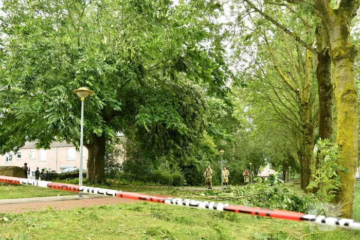 Straat afgezet door vallende takken