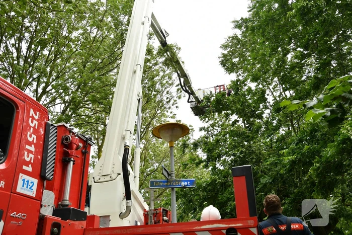 Straat afgezet door vallende takken