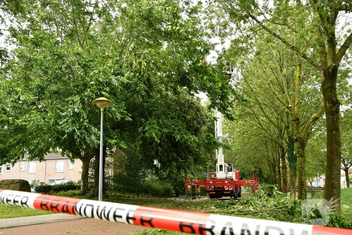 Straat afgezet door vallende takken