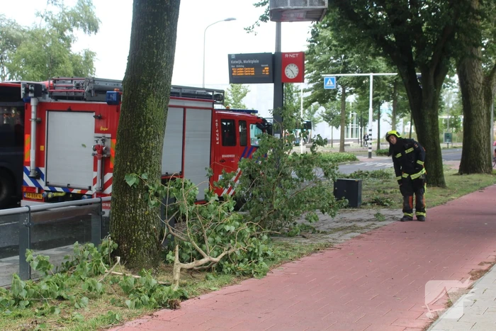 natuur zeeweg katwijk