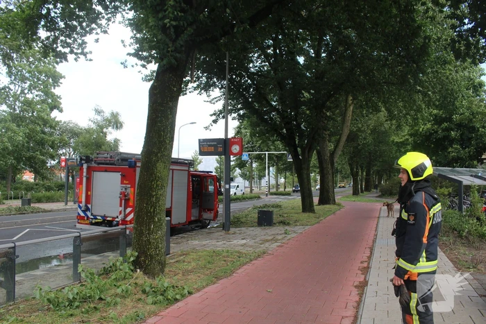 Afgebroken takken dreigen op bushalte te vallen