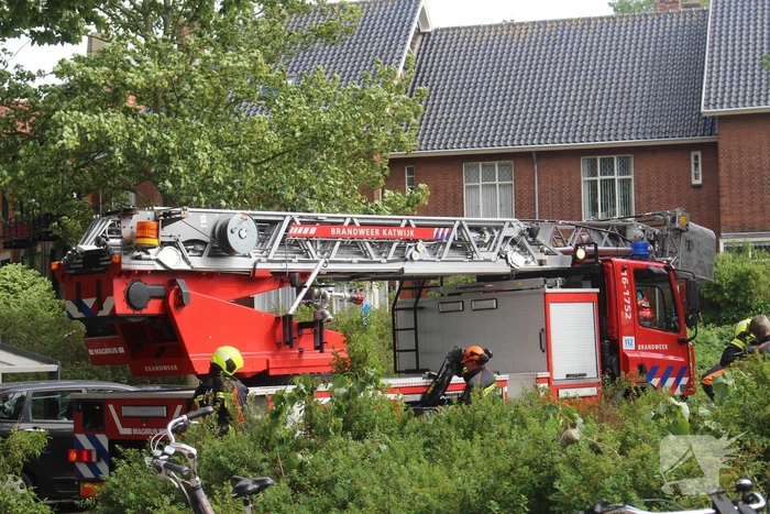 Afgebroken takken dreigen op bushalte te vallen