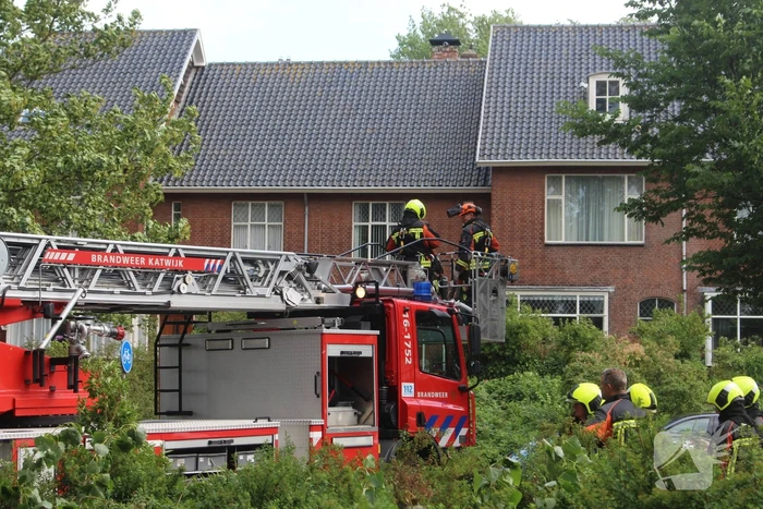 Afgebroken takken dreigen op bushalte te vallen