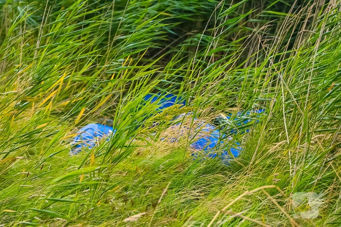 Brandweer controleert gedumpte vaten