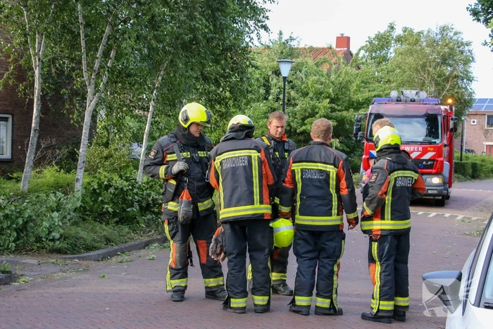 Brandweer haalt loshangende tak weg