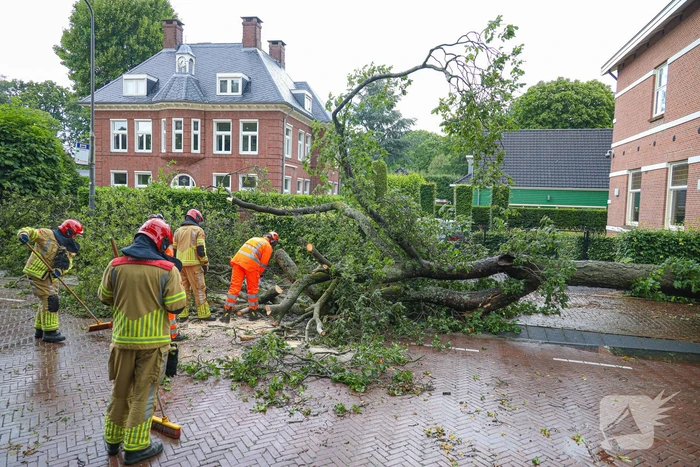 Flinke boom blokkeert de weg