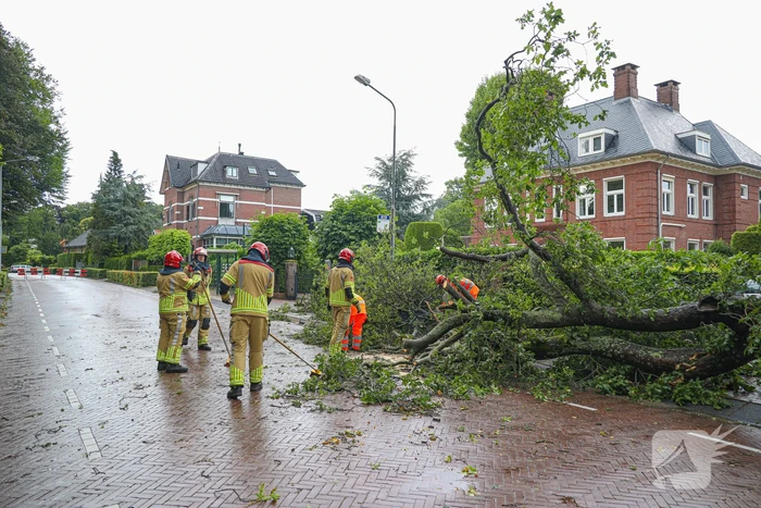 Flinke boom blokkeert de weg