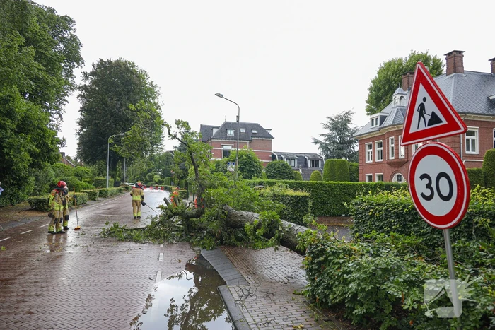Flinke boom blokkeert de weg