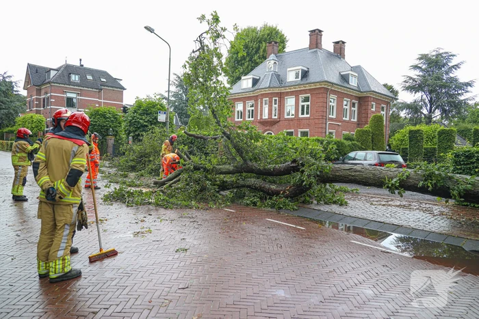 Flinke boom blokkeert de weg
