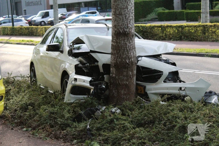 Automobilist botst tegen boom