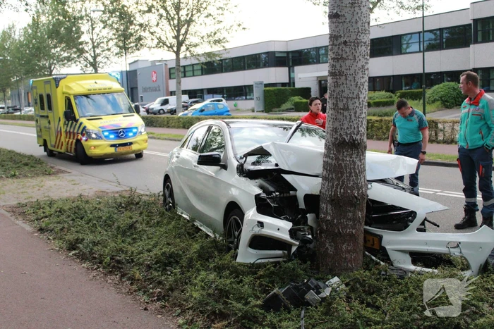 Automobilist botst tegen boom
