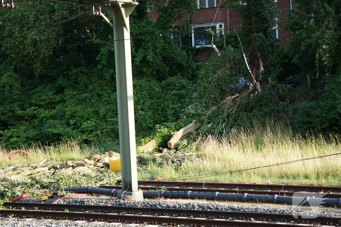 natuur lodewijkstraat groningen