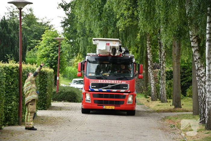 Brandweer verwijdert gevaarlijk hangende tak