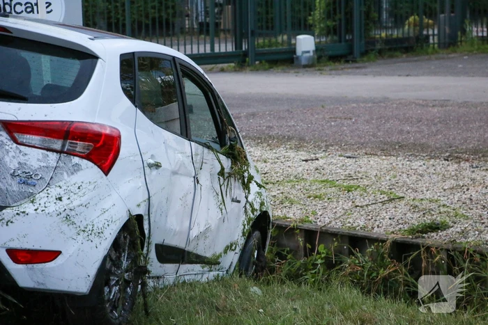 Automobilist raakt te water in sloot