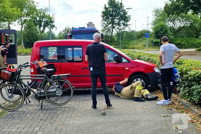 Kat zit vast onder motorkap van auto
