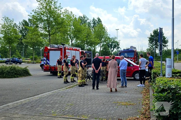 Kat zit vast onder motorkap van auto