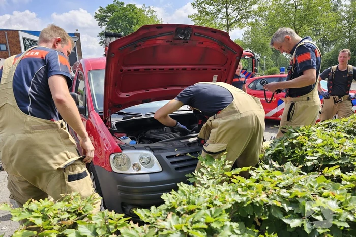 Kat zit vast onder motorkap van auto