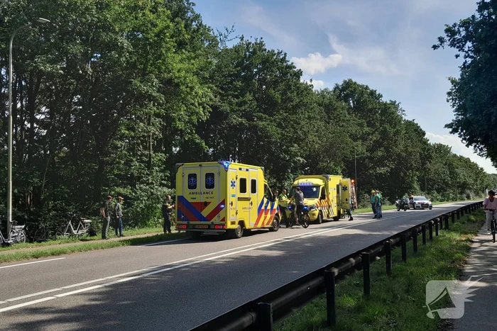 Bestuurder bestelbus raakt van de weg en belandt in bosschage