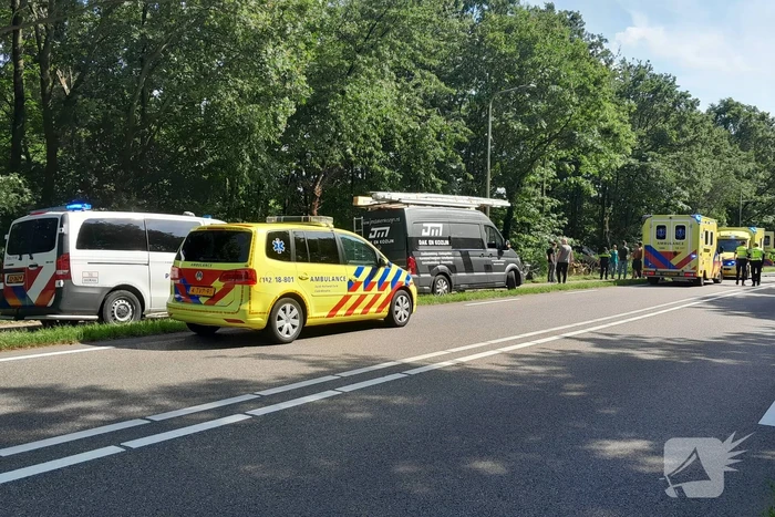 Bestuurder bestelbus raakt van de weg en belandt in bosschage