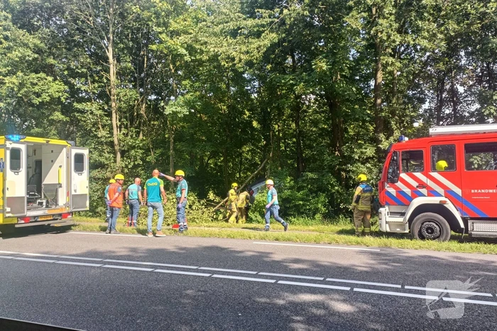 Bestuurder bestelbus raakt van de weg en belandt in bosschage