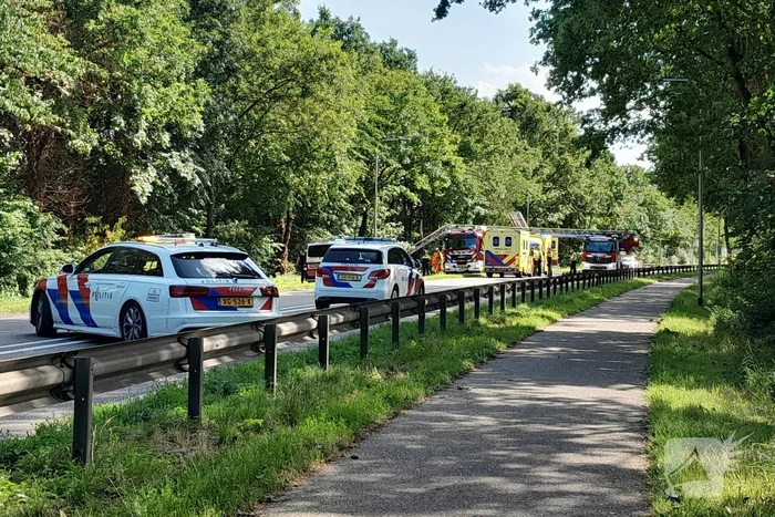 Bestuurder bestelbus raakt van de weg en belandt in bosschage