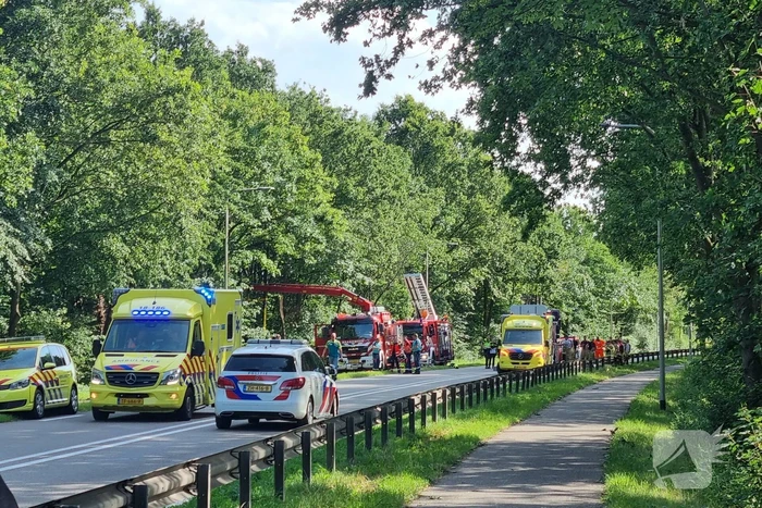 Bestuurder bestelbus raakt van de weg en belandt in bosschage