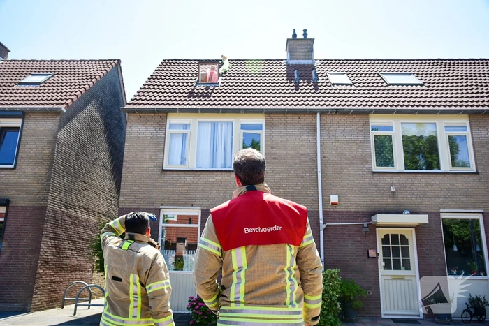 Brandweer probeert kat van dak te halen