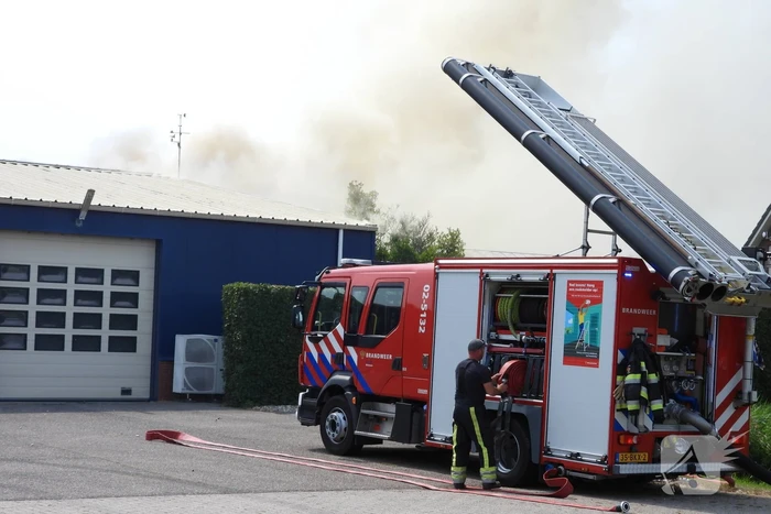 Grote brand in loods met komkommers en paprika's