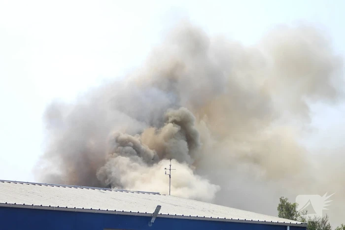 Grote brand in loods met komkommers en paprika's
