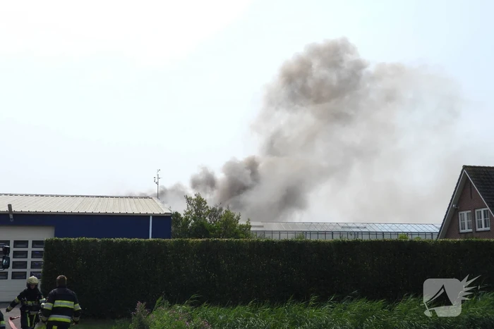 Grote brand in loods met komkommers en paprika's