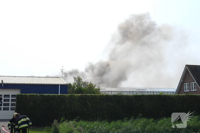 Grote brand in loods met komkommers en paprika's