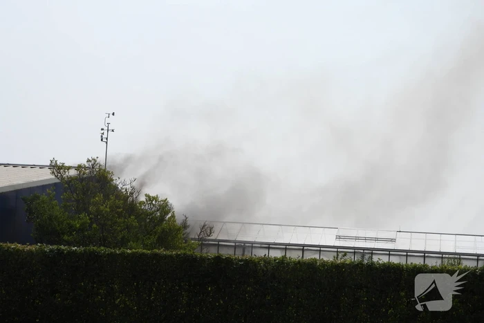 Grote brand in loods met komkommers en paprika's