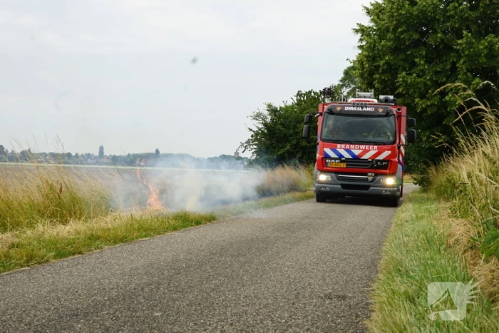 Stuk berm in brand