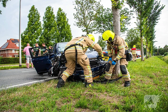 Gewonde nadat dronken persoon tegen boom rijdt