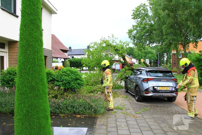 Boom valt bovenop geparkeerde auto