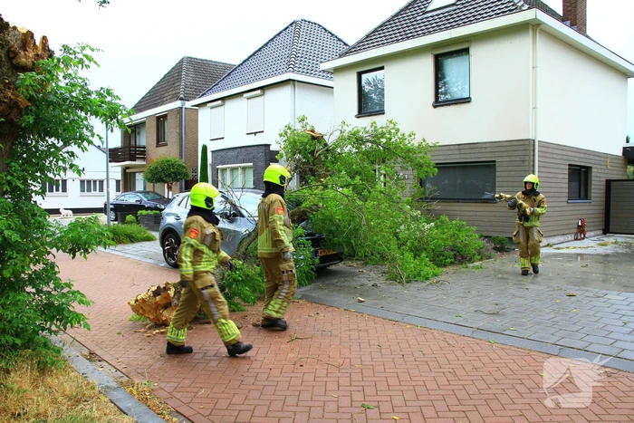 Boom valt bovenop geparkeerde auto
