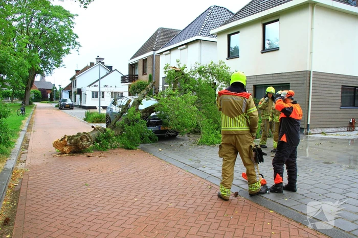 Boom valt bovenop geparkeerde auto