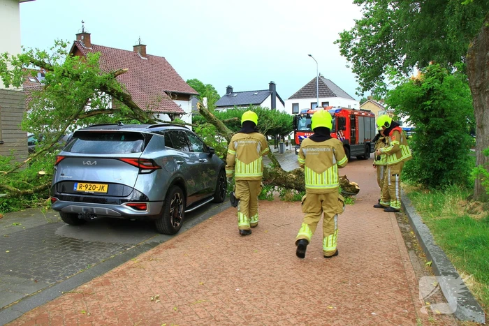Boom valt bovenop geparkeerde auto