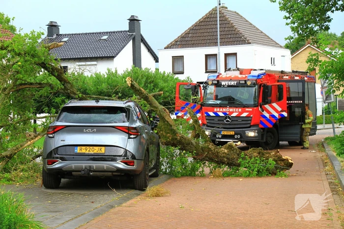 natuur sint mathiasstraat weert